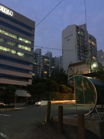 Our apartment complex. Our building is the one in the middle that's hard to see.