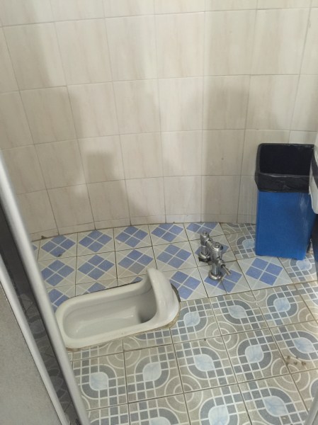 Oh, you needed a toilet? Will a hole in the floor due?