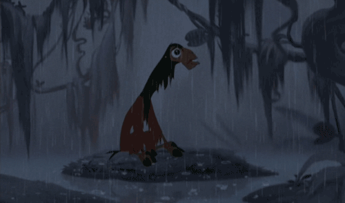 Kuzco rain gif