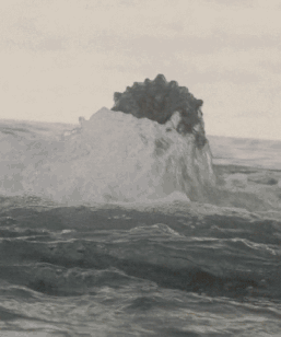 tumblr_npqcx5MORU1u8qr43o1_500